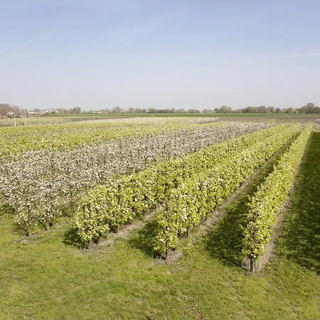 Dosso Al Porto Lantgård