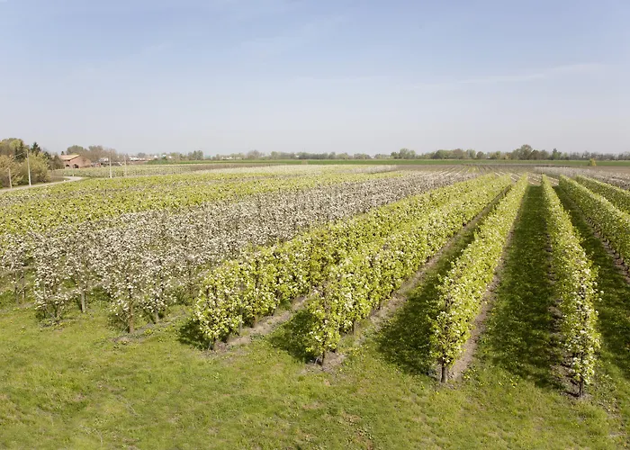 Dosso Al Porto Lantgård