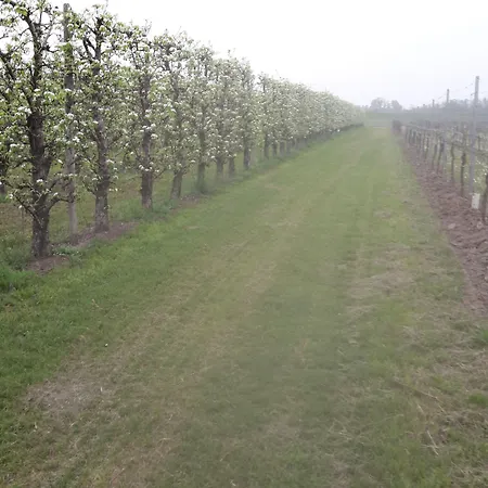 Dosso Al Porto Κατάλυμα σε φάρμα Rolo