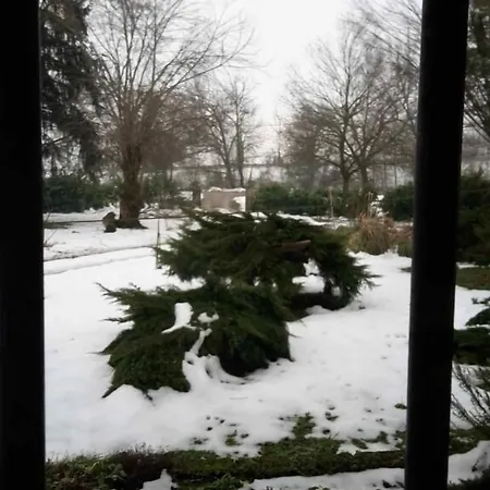 多索波尔图农场旅馆