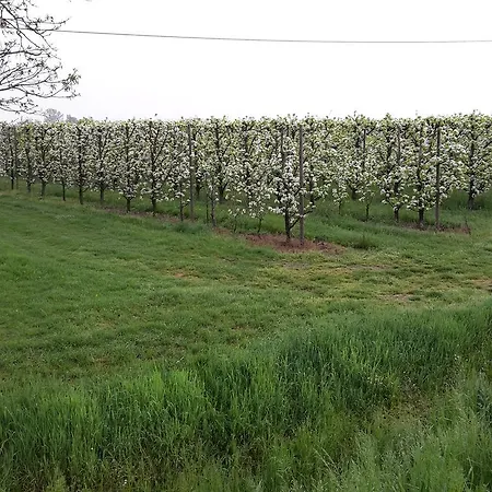 农家乐 多索波尔图农场旅馆