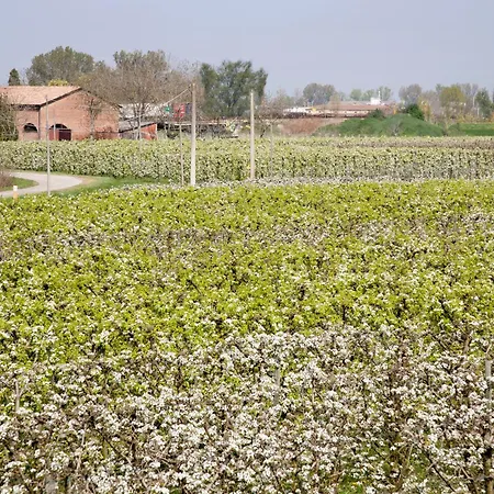 Dosso Al Porto Κατάλυμα σε φάρμα *