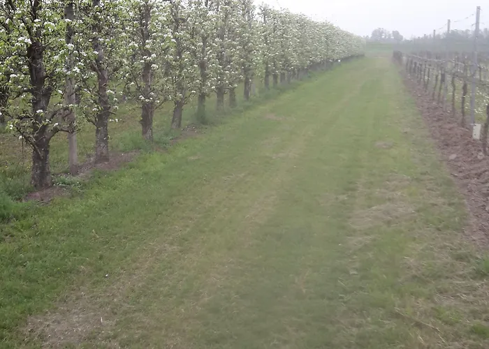 Dosso Al Porto בית חווה Rolo