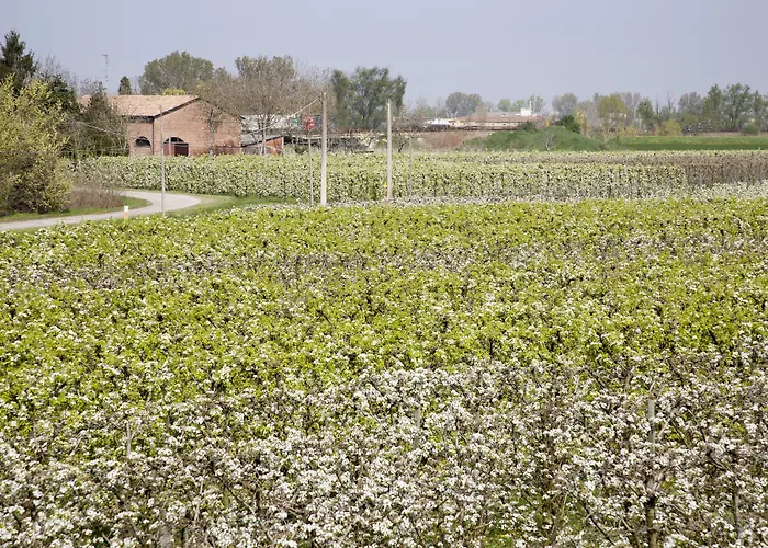 בית חווה Dosso Al Porto *