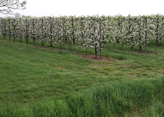 Çiftlik konaklama Dosso Al Porto