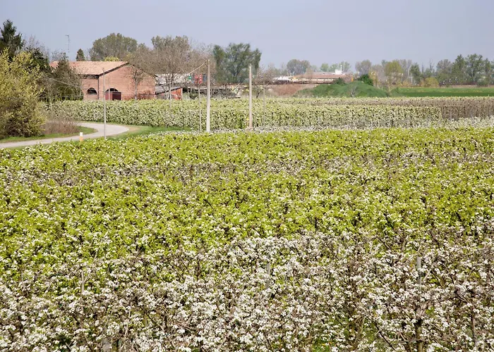 Dosso Al Porto בית חווה *